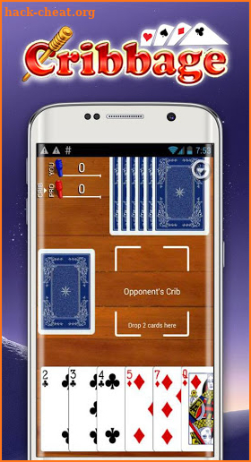 Cribbage 27 screenshot