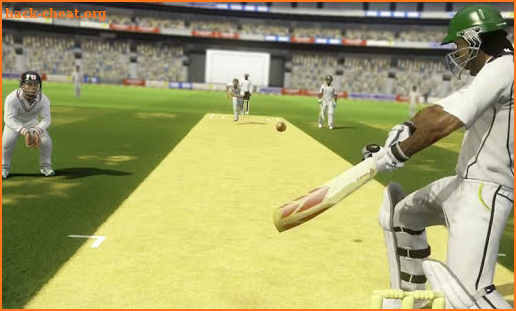 Cricket 2019 screenshot