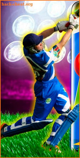 Cricket Heroes screenshot