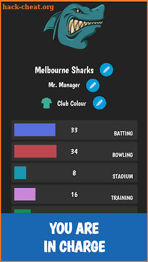 Cricket Manager - Super League screenshot