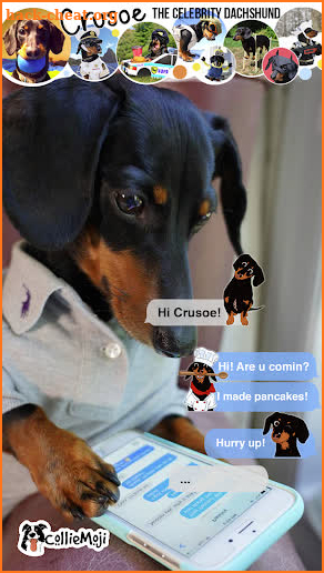 CrusoeMoji - Celebrity Dachshund Wiener Dog Emojis screenshot