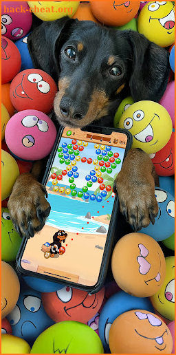 Crusoe's Squeaky Ball POP screenshot