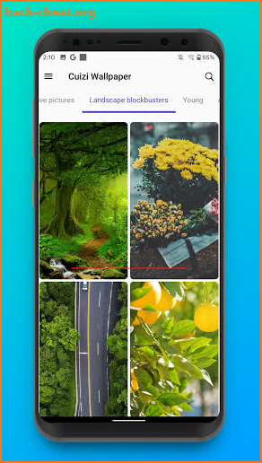 Cuizi Wallpaper screenshot