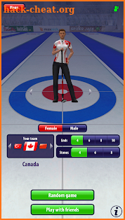 Curling3D screenshot