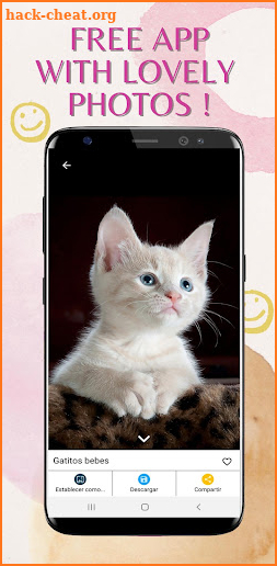 Cute Cats for HD Wallpapers screenshot