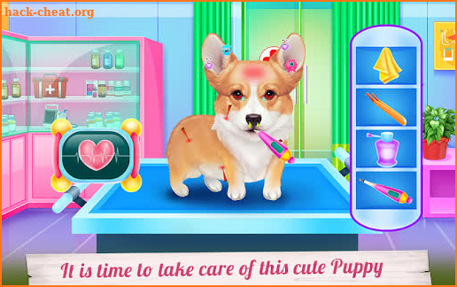 Cute Corgis Caring and Dressup screenshot