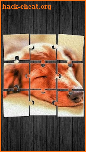 Cute Dogs Jigsaw Puzzle screenshot