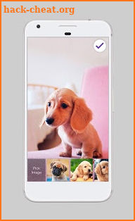 Cute Dogs Labrador HD AppLock Security screenshot