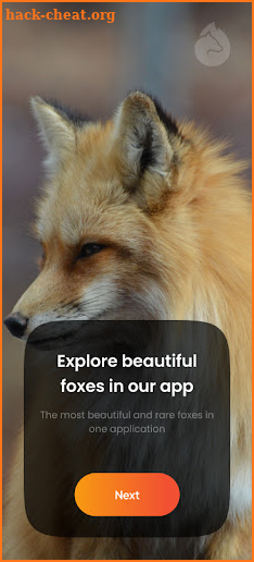 Cute Foxes screenshot