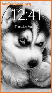 Cute Hasky Puppies Screen Lock screenshot