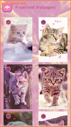 Cute Kitten Live Wallpapers screenshot