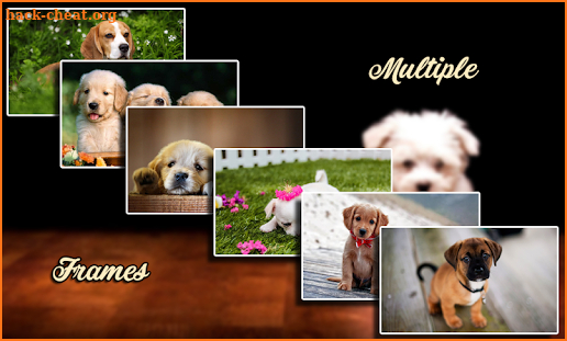 Cute Puppy Photo Frames 2 screenshot