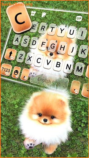 Cute Puppy Pom Keyboard Background screenshot