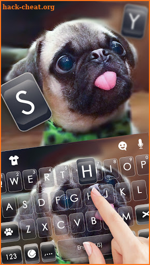 Cute Tongue Pug Keyboard Background screenshot