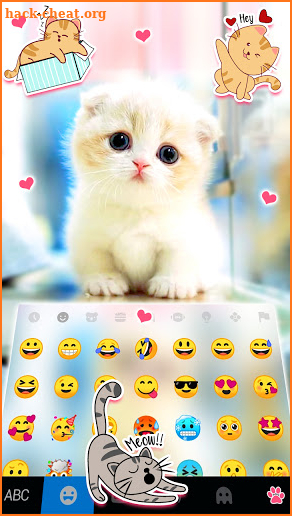 Cute White Kitten Keyboard Background screenshot