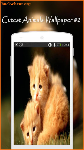 Cutest Animals Wallpapers screenshot