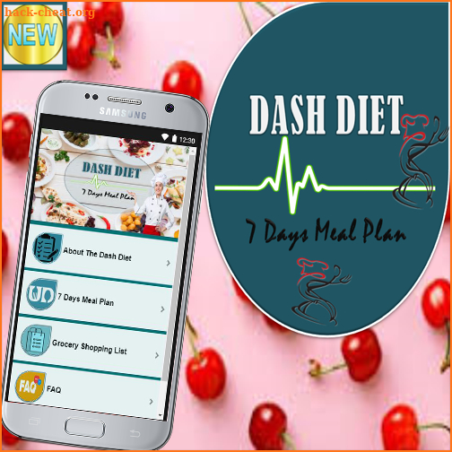 Dash Diet screenshot