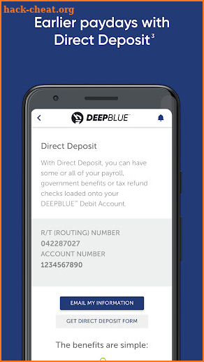 DEEPBLUE Debit screenshot