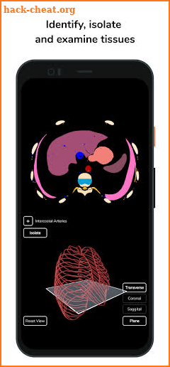 Deepscope Radiological Anatomy screenshot