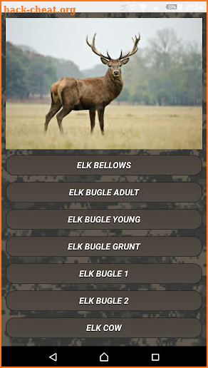 Deer hunting calls:Whitetail, Wapiti, moose sounds screenshot