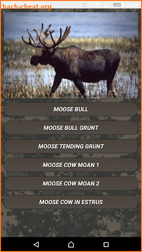 Deer hunting calls:Whitetail, Wapiti, moose sounds screenshot