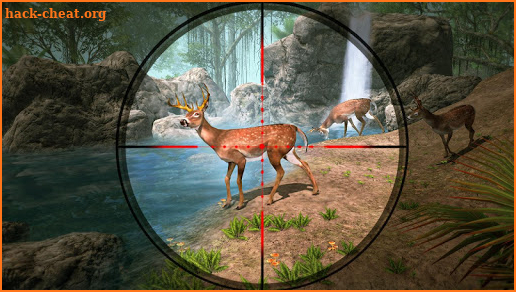 Deer Hunting Shooting Games screenshot