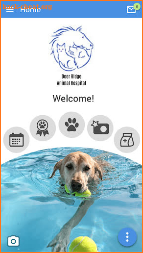 Deer Ridge Animal Hospital screenshot