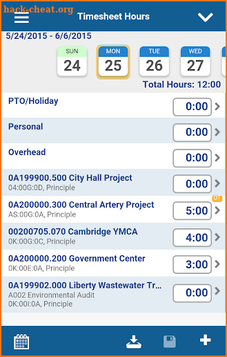 Deltek Vision Time & Expense screenshot