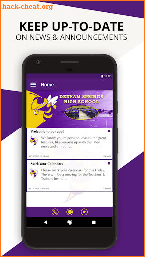 Denham Springs High School screenshot