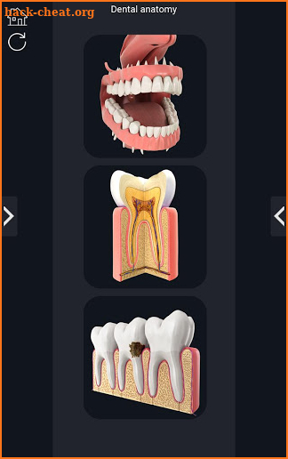 Dental  Anatomy screenshot