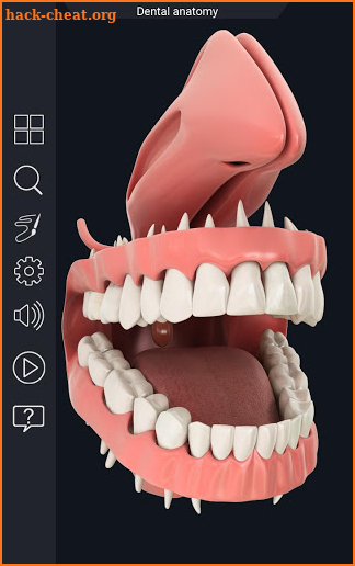 Dental  Anatomy screenshot