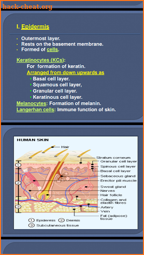 Dermatology Made Easy screenshot