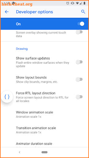 Developer Options screenshot