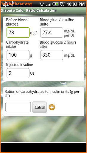 Diabete Calc screenshot