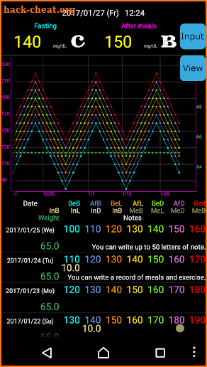 Diabetes Diary 2 screenshot