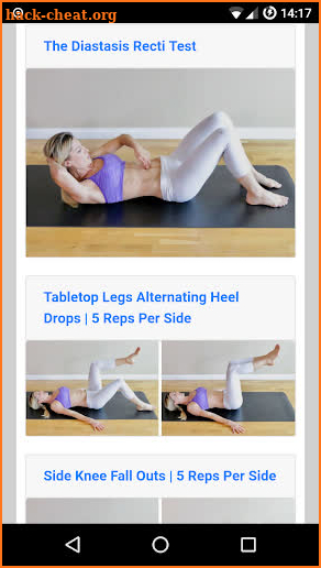 Diastasis Recti Exercises screenshot