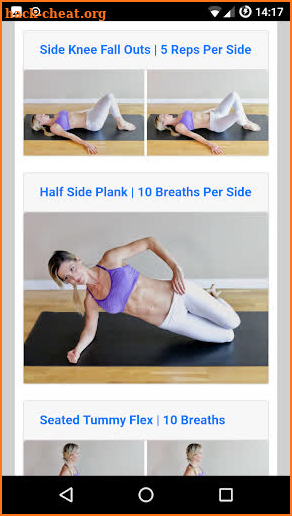 Diastasis Recti Exercises screenshot