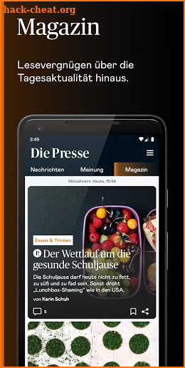 Die Presse screenshot