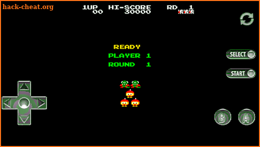 Dig Dug Game classic arcade screenshot