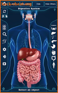 Digestive System Anatomy Pro. screenshot