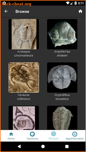 Digital Atlas of Ancient Life screenshot