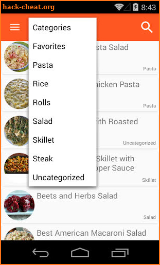 Dinner Ideas & Recipes screenshot