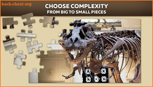 Dinosaurs puzzles screenshot