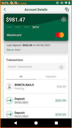 Direct Express Mobile screenshot