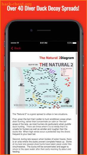 Diver Duck Decoy Spreads screenshot