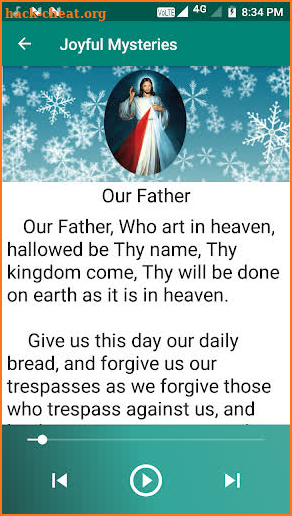 Divine Mercy Chaplet Audio With Text screenshot