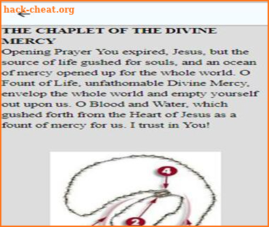 Divine Mercy Novena 2018 screenshot