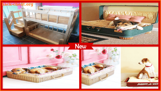 DIY Adorable Pet Beds Ideas screenshot