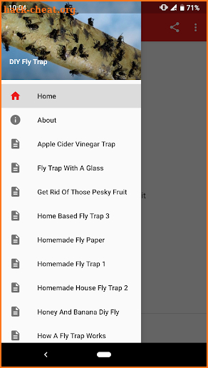 DIY Fly Trap screenshot