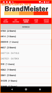 DMR BrandMeister Tool screenshot